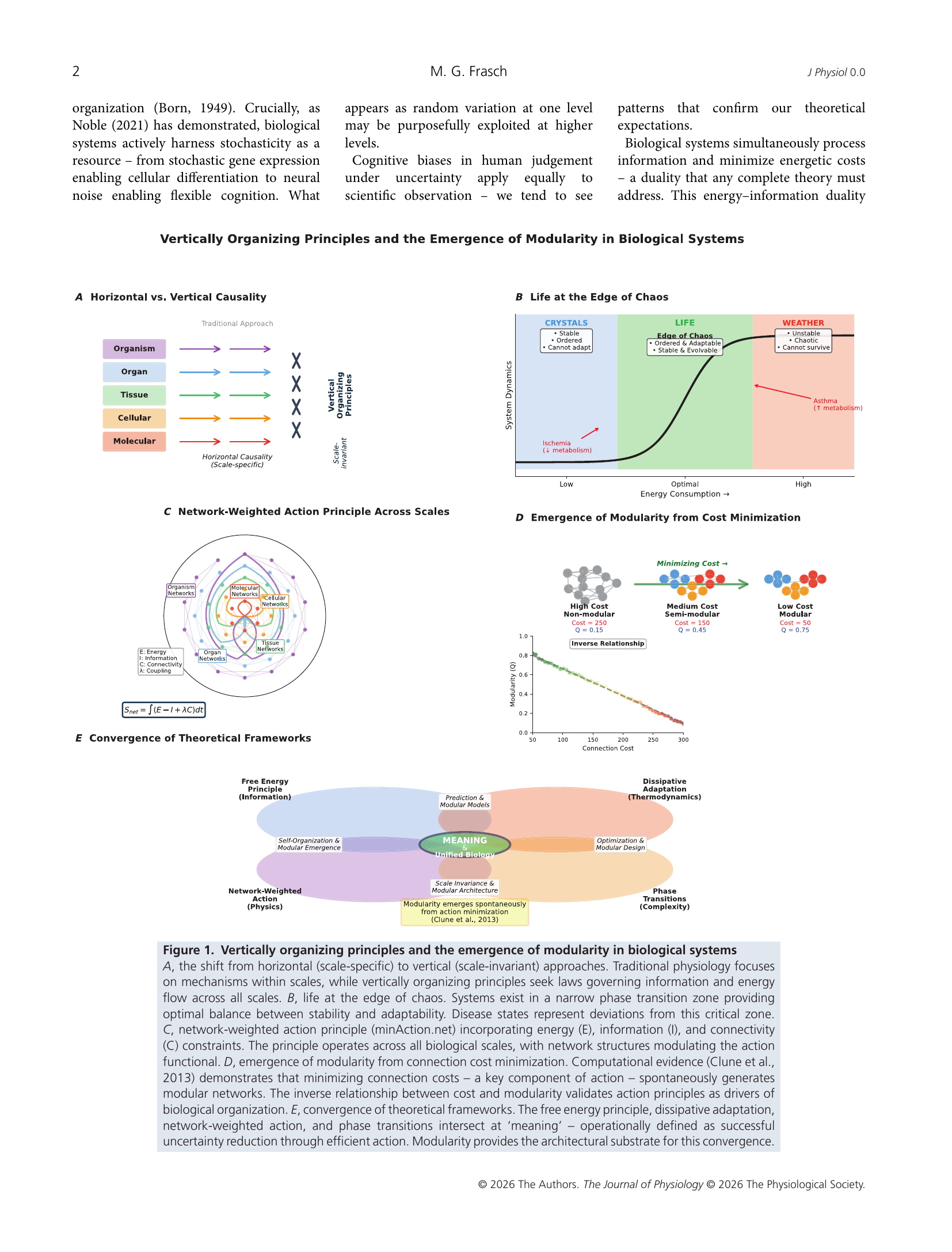 Vertically organising principles and the emergence of modularity in biological systems